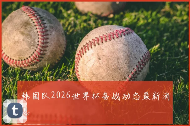韩国队2026世界杯备战动态最新消息